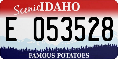 ID license plate E053528