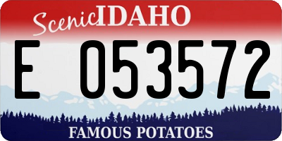 ID license plate E053572