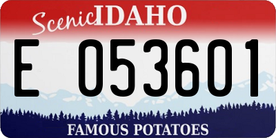 ID license plate E053601