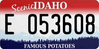 ID license plate E053608