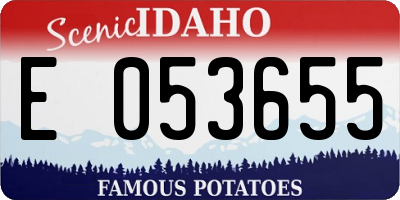ID license plate E053655