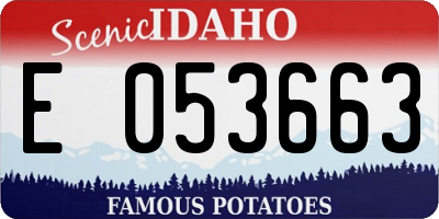 ID license plate E053663