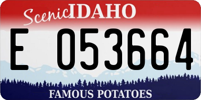 ID license plate E053664