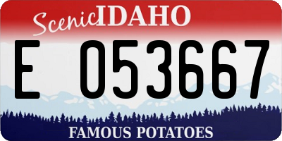 ID license plate E053667
