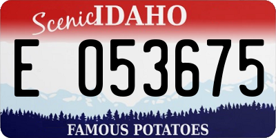 ID license plate E053675