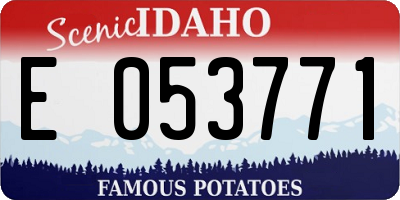 ID license plate E053771
