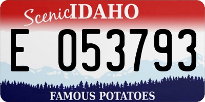 ID license plate E053793
