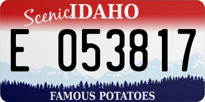 ID license plate E053817