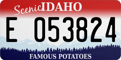 ID license plate E053824