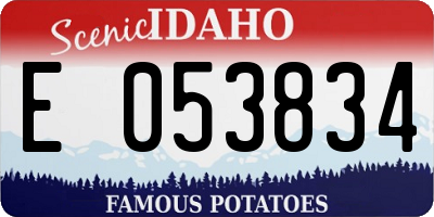 ID license plate E053834
