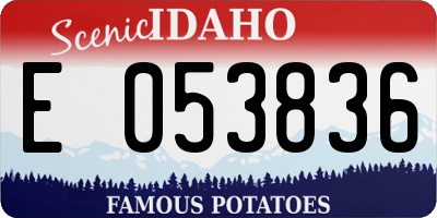 ID license plate E053836