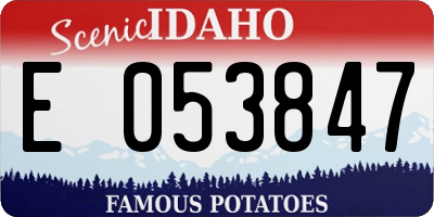 ID license plate E053847