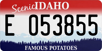 ID license plate E053855