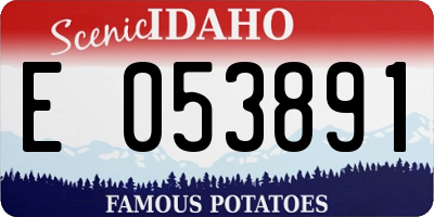 ID license plate E053891