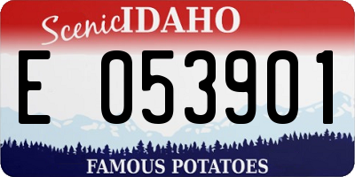 ID license plate E053901