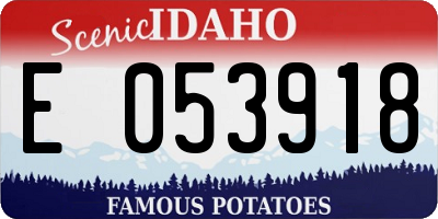 ID license plate E053918