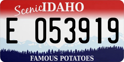 ID license plate E053919