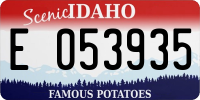 ID license plate E053935