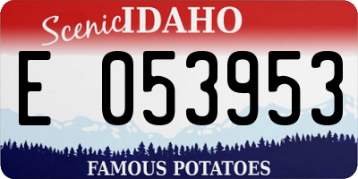 ID license plate E053953