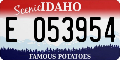 ID license plate E053954