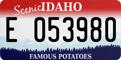 ID license plate E053980