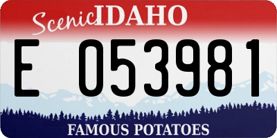ID license plate E053981