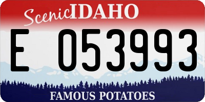 ID license plate E053993