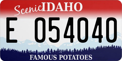 ID license plate E054040