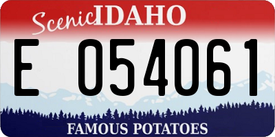 ID license plate E054061