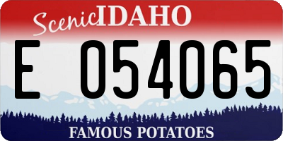 ID license plate E054065