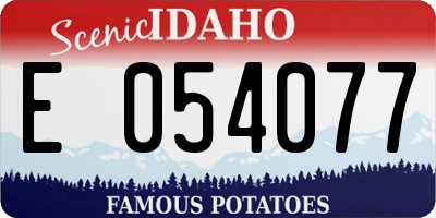 ID license plate E054077