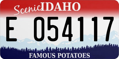ID license plate E054117