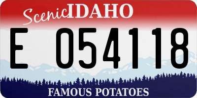ID license plate E054118