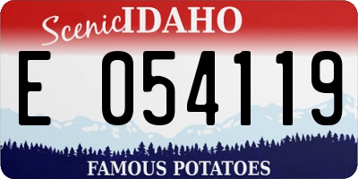 ID license plate E054119