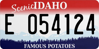 ID license plate E054124