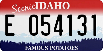 ID license plate E054131