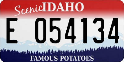 ID license plate E054134
