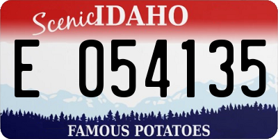 ID license plate E054135