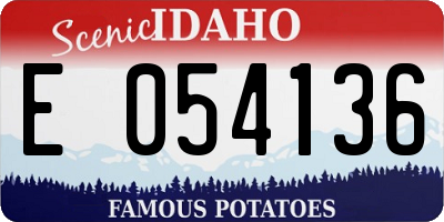 ID license plate E054136