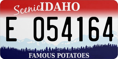 ID license plate E054164