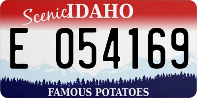 ID license plate E054169