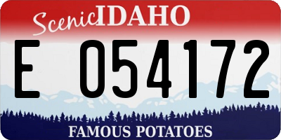 ID license plate E054172