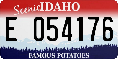 ID license plate E054176