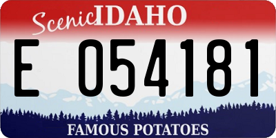 ID license plate E054181