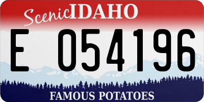 ID license plate E054196