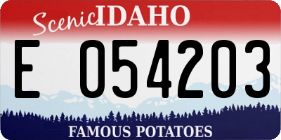 ID license plate E054203