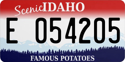 ID license plate E054205