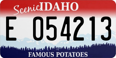 ID license plate E054213