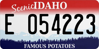 ID license plate E054223