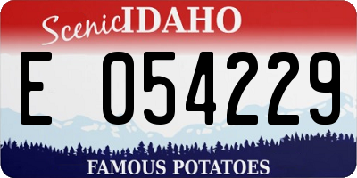 ID license plate E054229